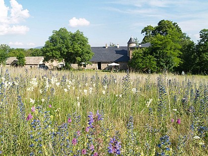 Les gîtes du Domaine de Pradines