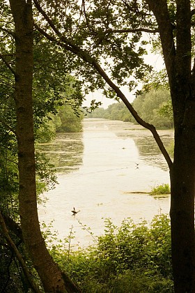L'observatoire des fouilles