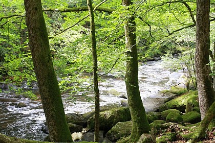 Camping La Croix du Château