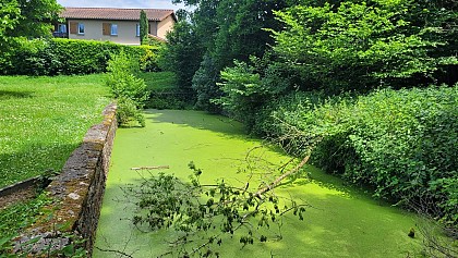 Cailloux-sur-Fontaines - Retour aux Sources