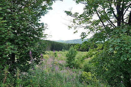 Le Parc naturel Haute-Sûre Forêt d'Anlier