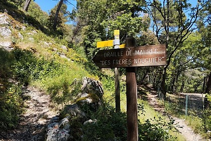 La Draille des frères Nouguier