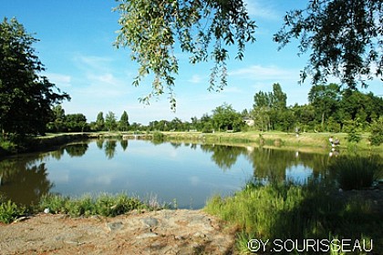 Étang des Courtilliers