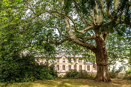 Parc du Château d'Hausen