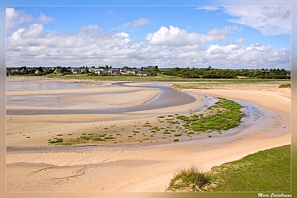Le havre : un écosystème à préserver