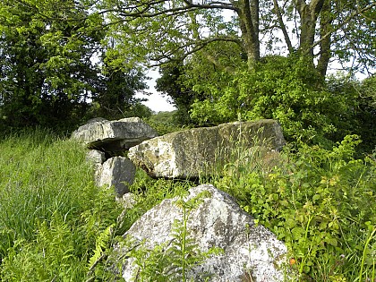 L'allée couverte des Moitiers d'Allonnes (propriété privée, entrée autorisée)