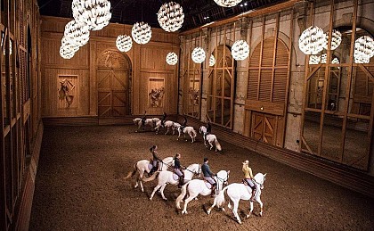 Académie des arts équestres