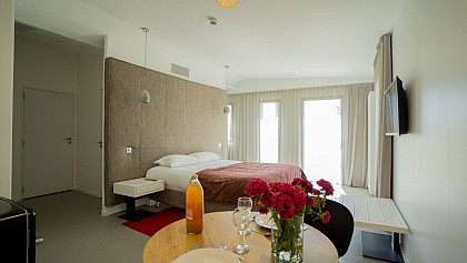 LES VILLAS DU PARC DE LA CHABOTTERIE (CLASSIQUE +)