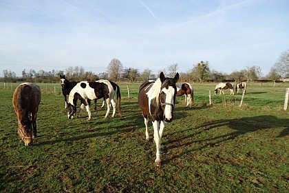 M et Mme Jean-Paul et Sylvaine CHARUEL