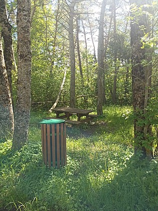 Aire de pique-nique à proximité de Selonnet
