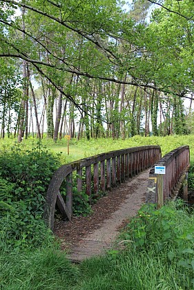 A Saint-Julien-en-Born, circuit du Courant de Contis et de la Plaine de Sable Blanc