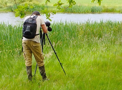 étang de la Mazère