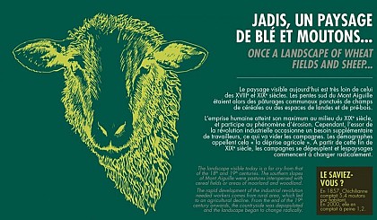 Jadis, un paysage de blé et moutons...