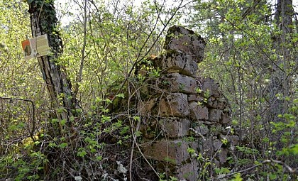 Les ruines d'un autre temps