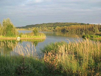 Réserve régionale naturelle du Grand Voyeux