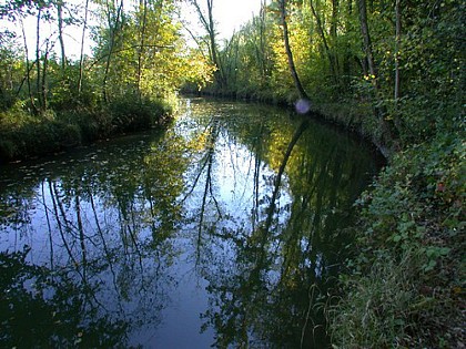 Le marais du Négando