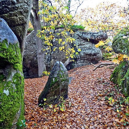 Le Petit Pain de Sucre