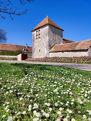 Château de la Cour