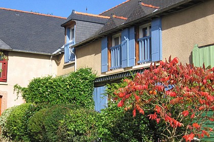 Le Bas Chenézé - Chambre la Roseraie et Soleil Levant