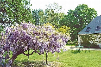 Monsieur et Madame Quernée-Pottier