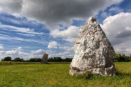 Menhirs du Champ de la Pierre et du Champ Horel