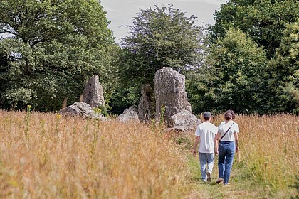 Alignement de menhirs de Lampouy