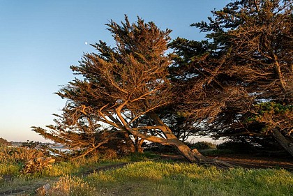 Les dunes de Port Hue et du Perron