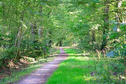 L'allée de la Haichois