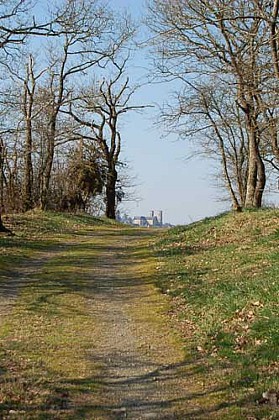 L'étang de la Forge