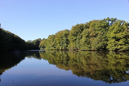 Le parc de la Higourdais