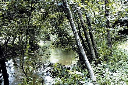 La vallée du Couesnon