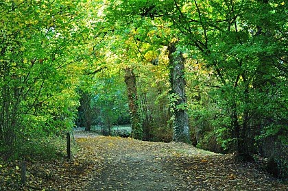 La vallée de la Vaunoise