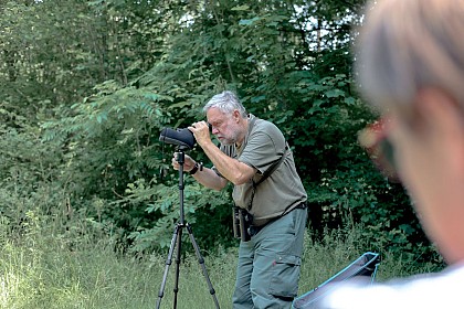 Discovering the animal world with Bernard