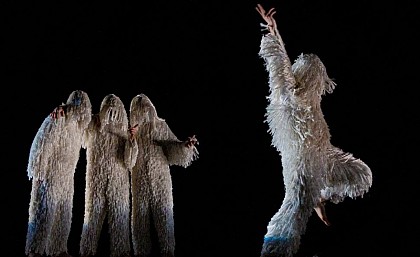 A4 (comme la feuille) - Chicos Mambo