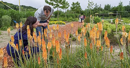 Parc de découverte CAP LOIRE à Montjean sur Loire