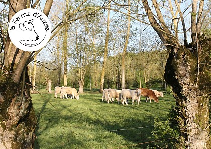 La Ferme d'Auzille