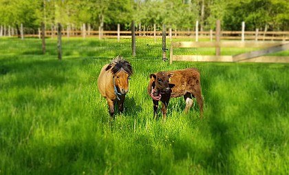 La Ferme du Far West