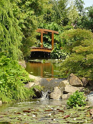Arboretum Jean Huchet
