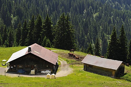 Refuge du Plan de l'Aar