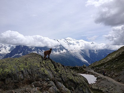 Aiguilles Rouges nature reserve