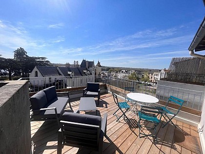 Grand gîte terrasse vue Loire et château
