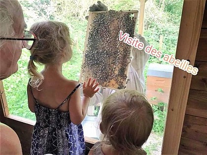 Visites du rucher