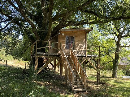 Cabane sous le chêne tricentenaire
