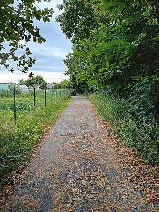 Les jardins partagés de la Noblesse