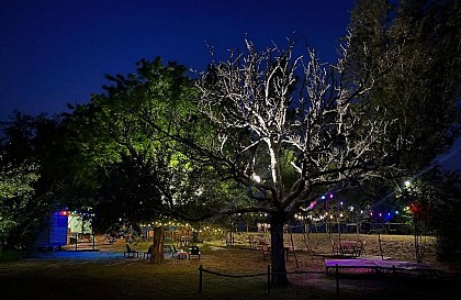 La Corniche Guinguette