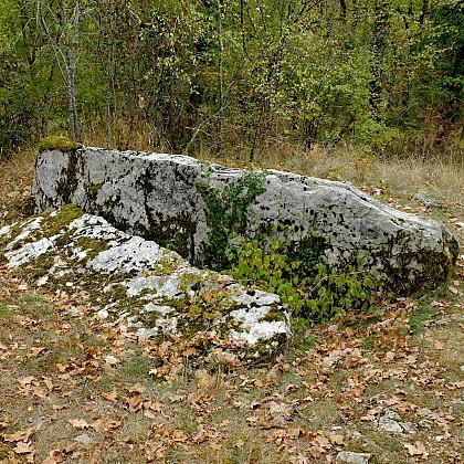 Dolmen n°1 de Jonade