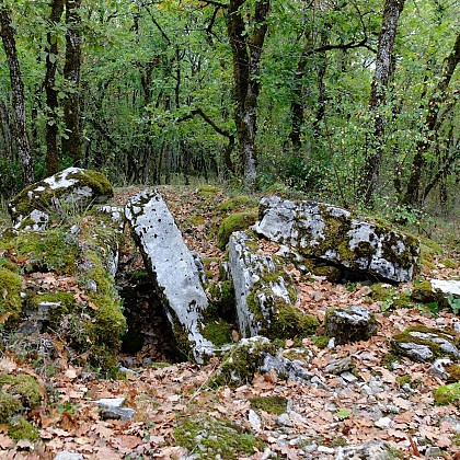 Dolmen n°3 des Places