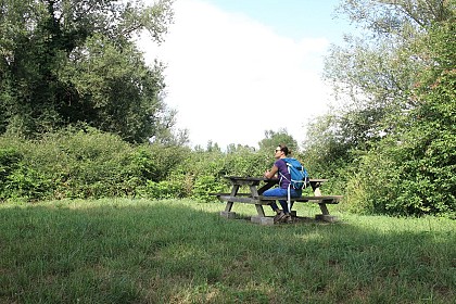Aire de pique-nique des bords de Loire