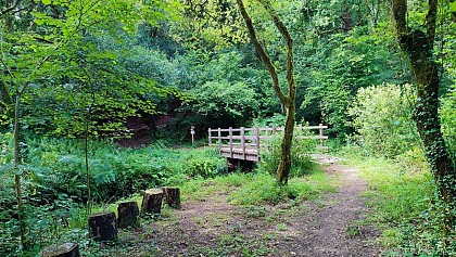 Coin Picnic  | Plufur - Plestin les Grèves