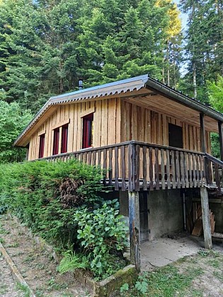 Le Chalet de la Forêt
